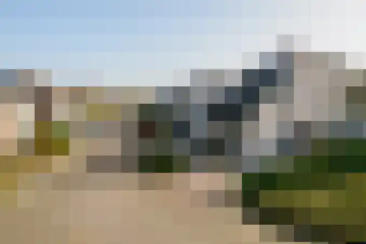 Boekweit 30 Borne thumbnail 42