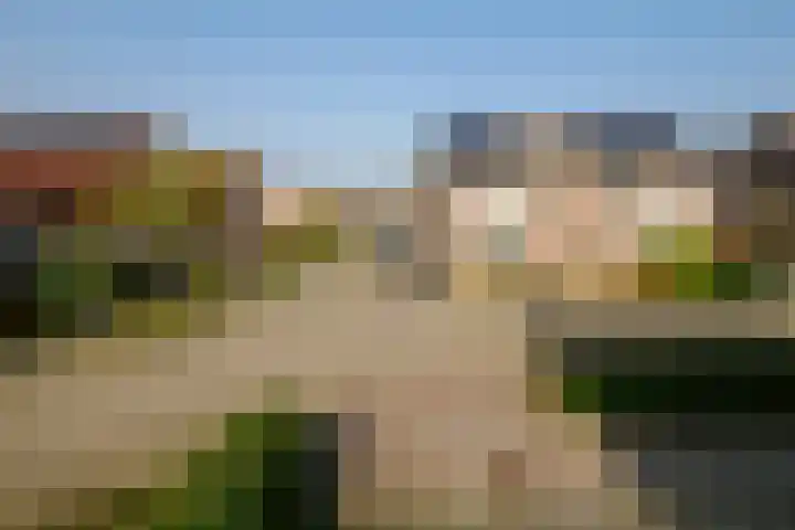 Boekweit 30 Borne thumbnail 43