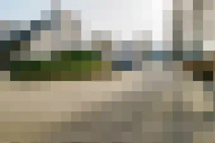 Boekweit 30 Borne thumbnail 44
