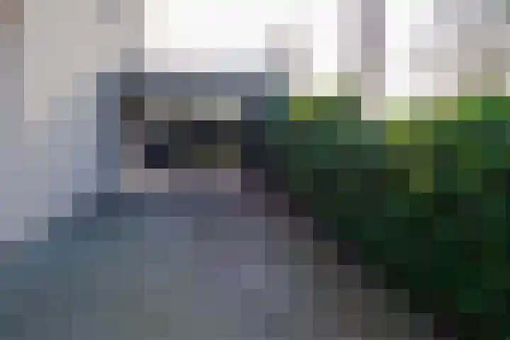 Boekweit 30 Borne thumbnail 45