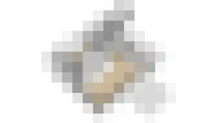 Boekweit 30 Borne thumbnail 47