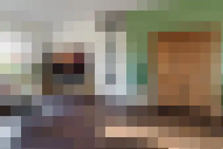 Boekweit 30 Borne thumbnail 9