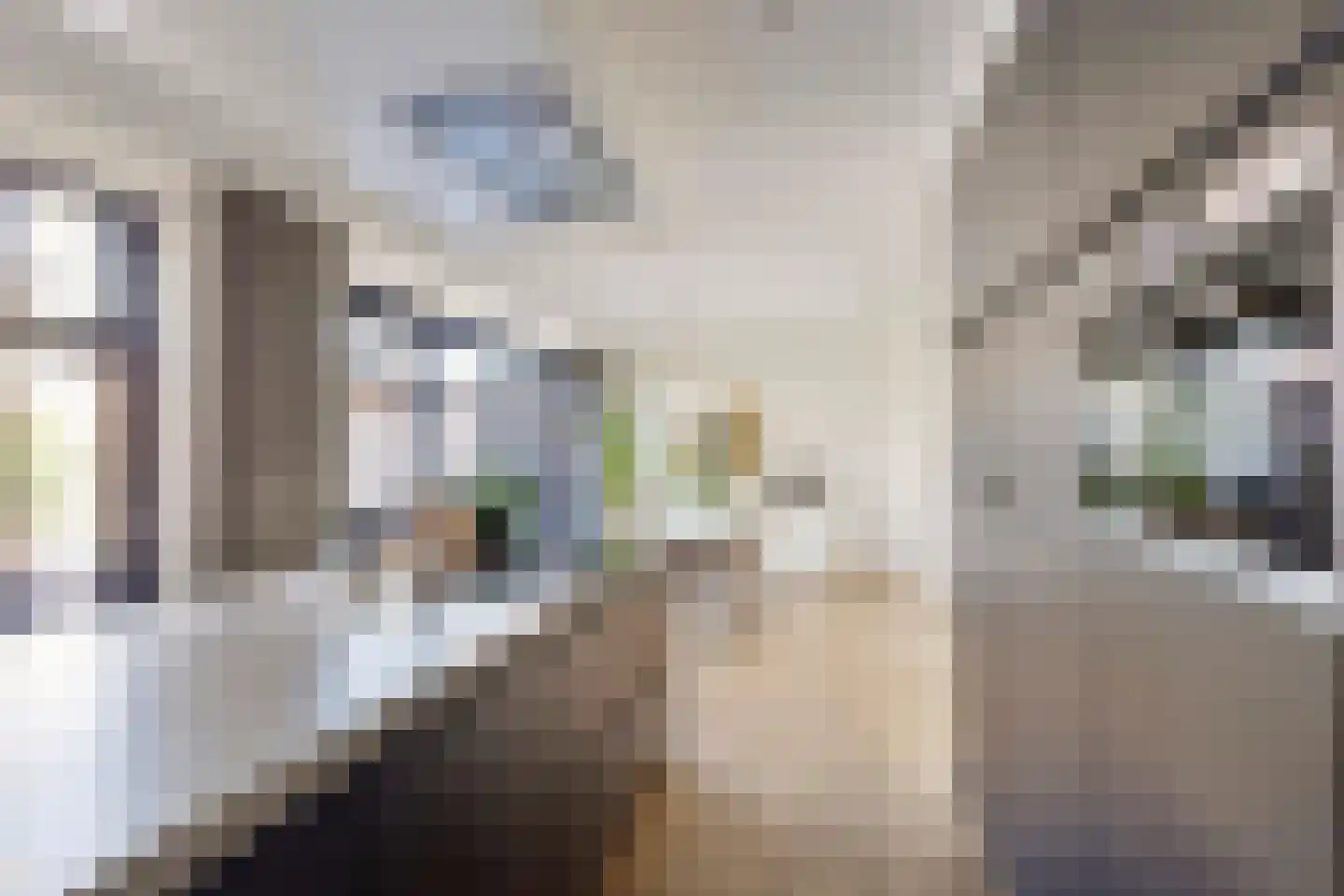 Boekweit 32 Boekel thumbnail 10