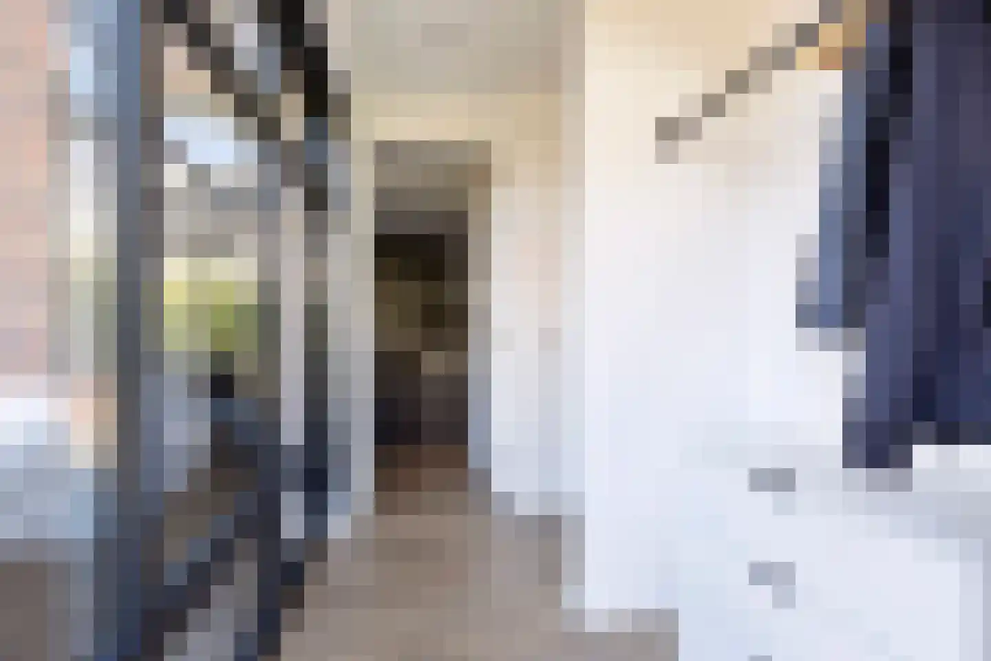 Boekweit 32 Boekel thumbnail 14