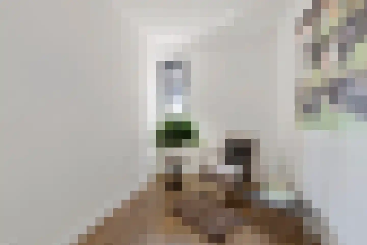 Boekweit 32 Boekel thumbnail 18