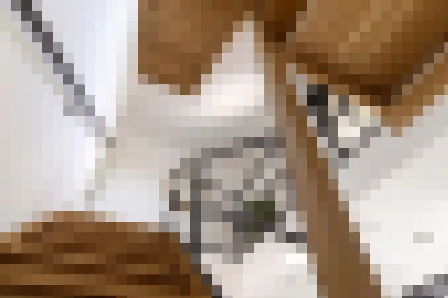 Boekweit 32 Boekel thumbnail 22