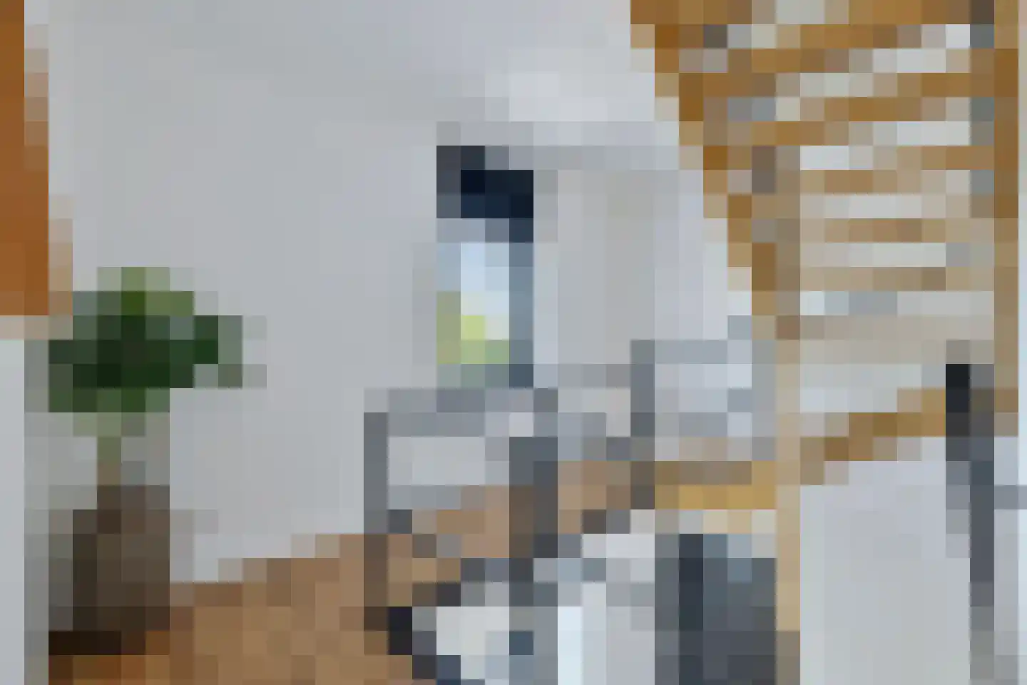 Boekweit 32 Boekel thumbnail 23
