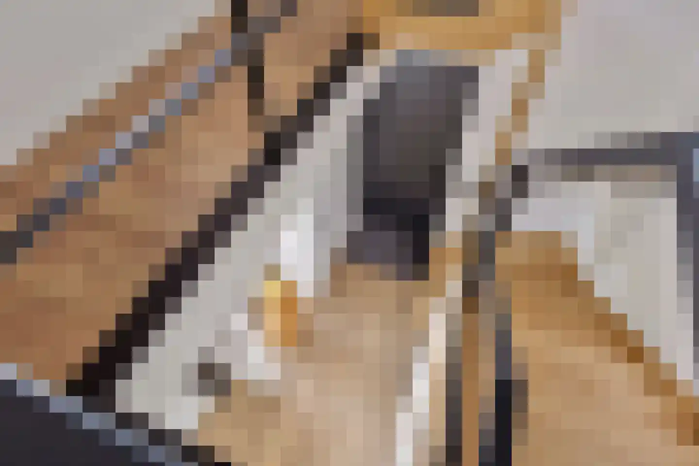 Boekweit 32 Boekel thumbnail 24