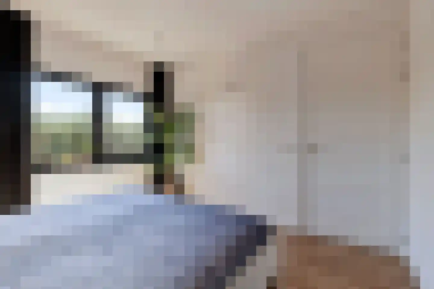 Boekweit 32 Boekel thumbnail 26