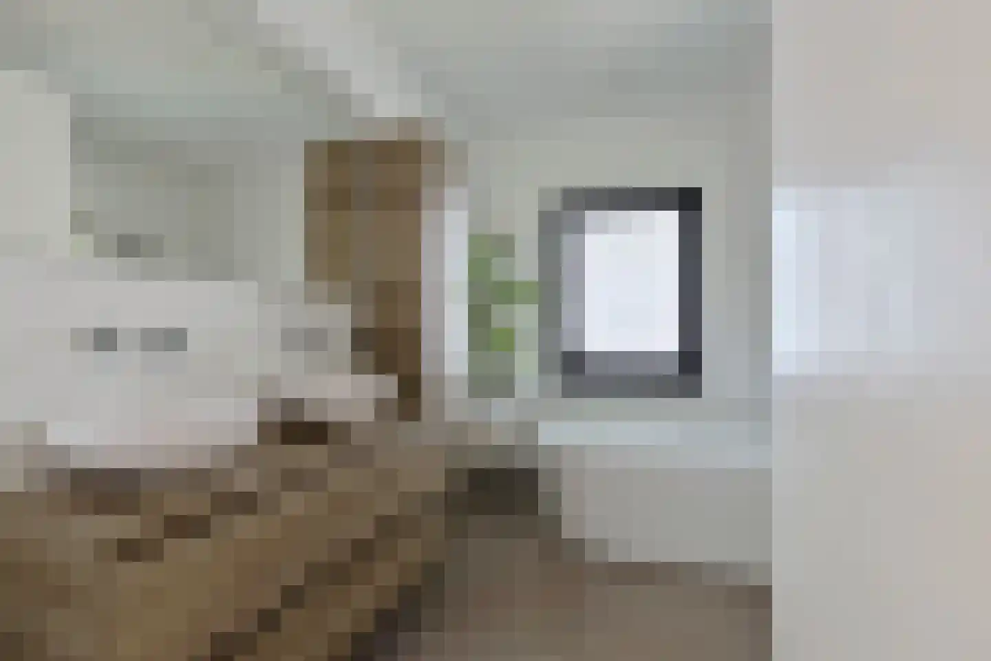 Boekweit 32 Boekel thumbnail 28