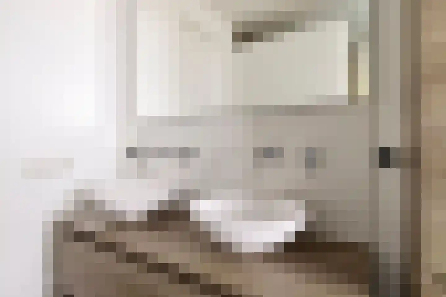 Boekweit 32 Boekel thumbnail 29
