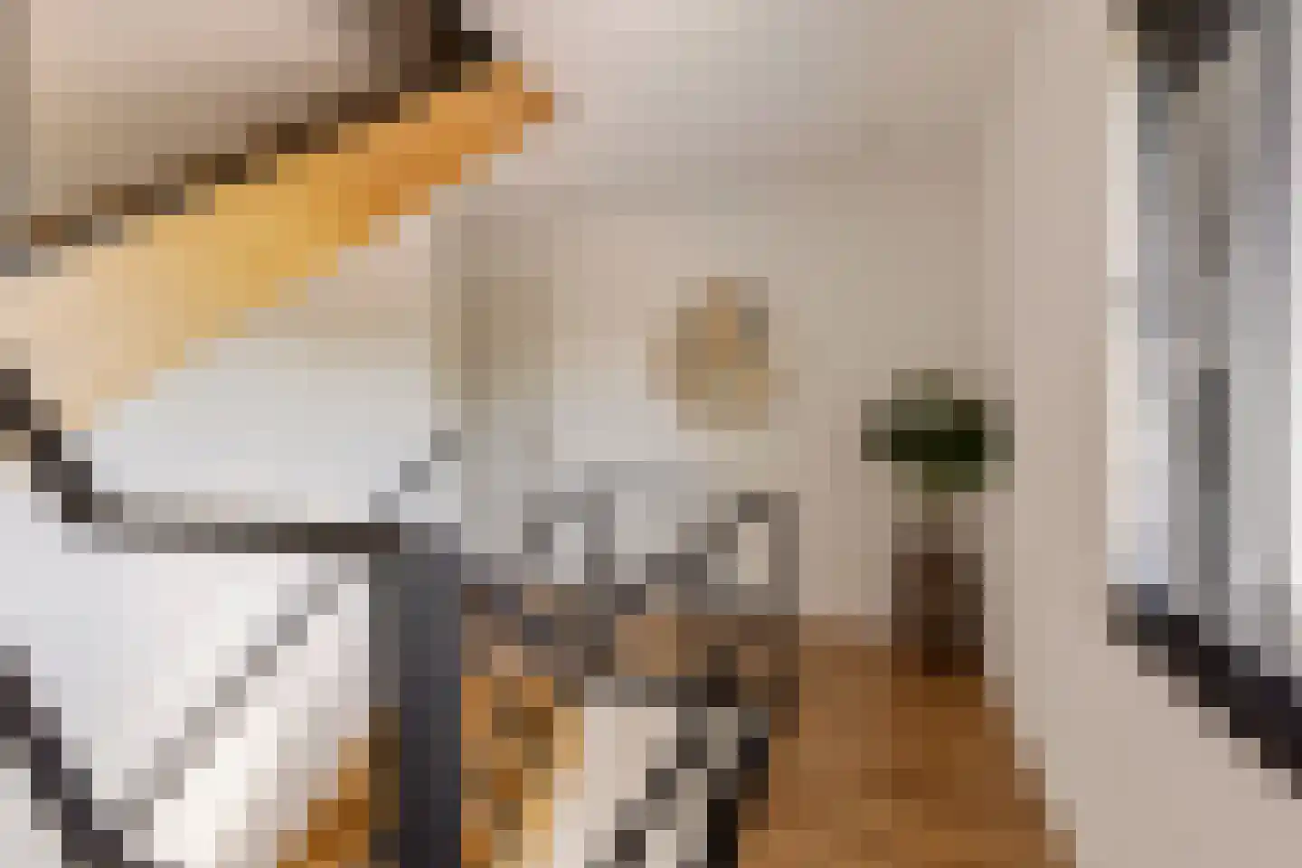 Boekweit 32 Boekel thumbnail 38
