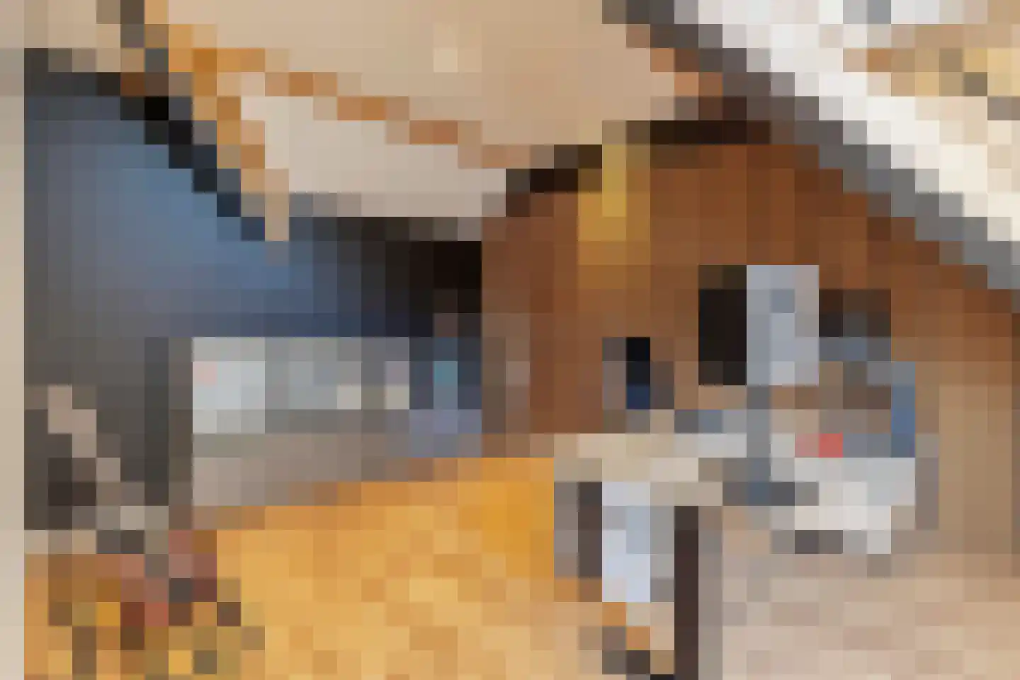 Boekweit 32 Boekel thumbnail 40