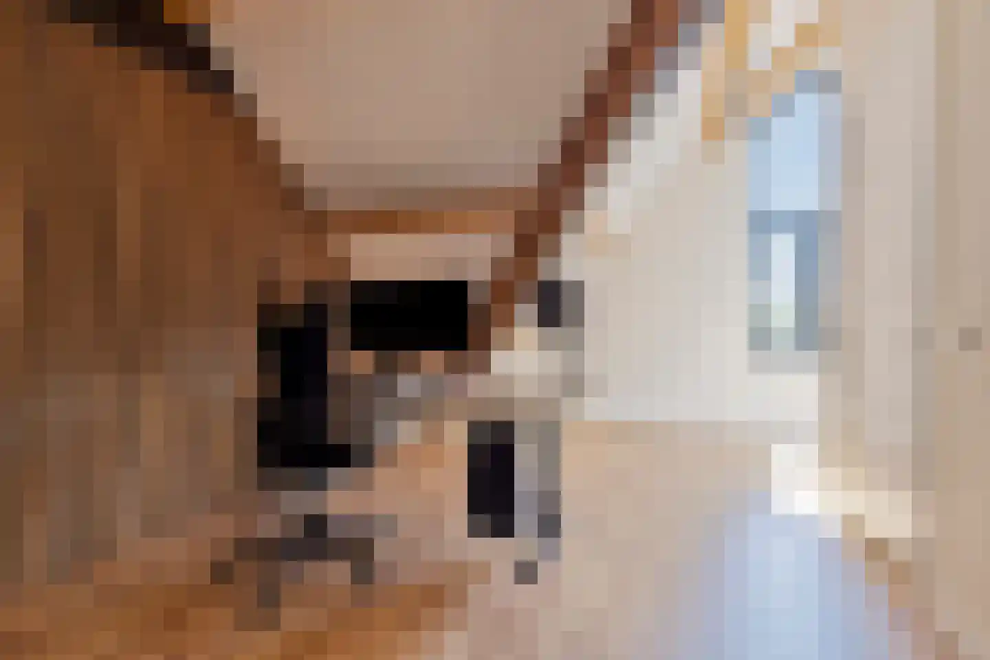 Boekweit 32 Boekel thumbnail 41
