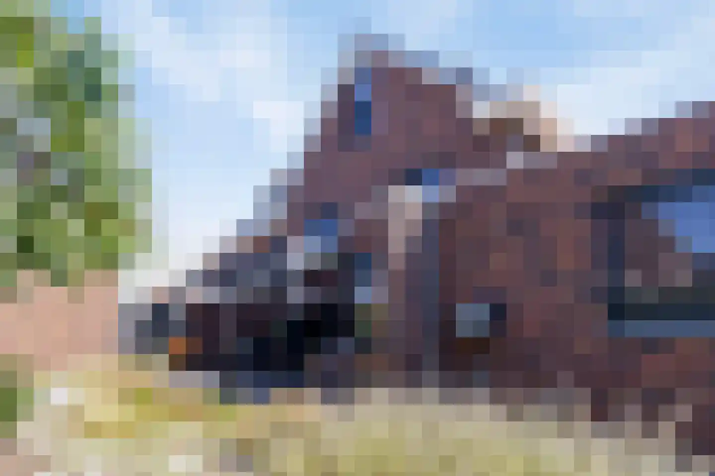 Boekweit 32 Boekel thumbnail 49