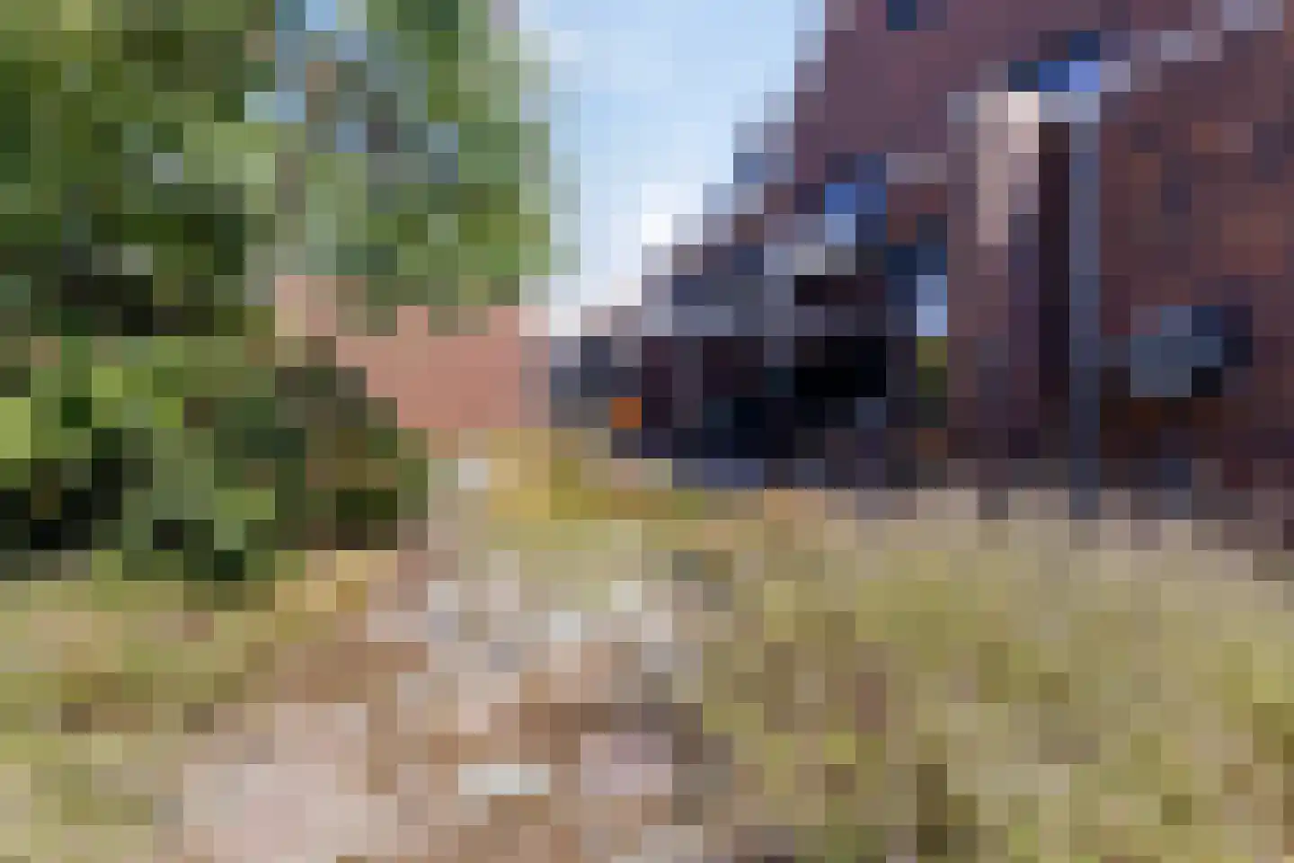 Boekweit 32 Boekel thumbnail 50