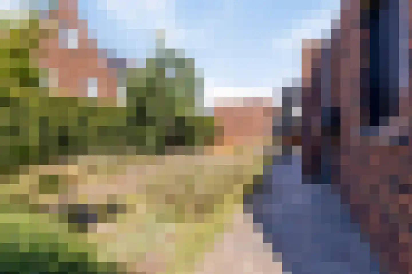 Boekweit 32 Boekel thumbnail 51