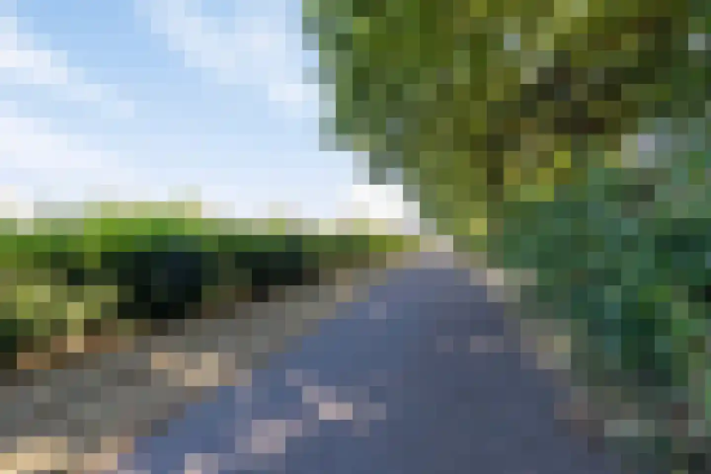 Boekweit 32 Boekel thumbnail 56