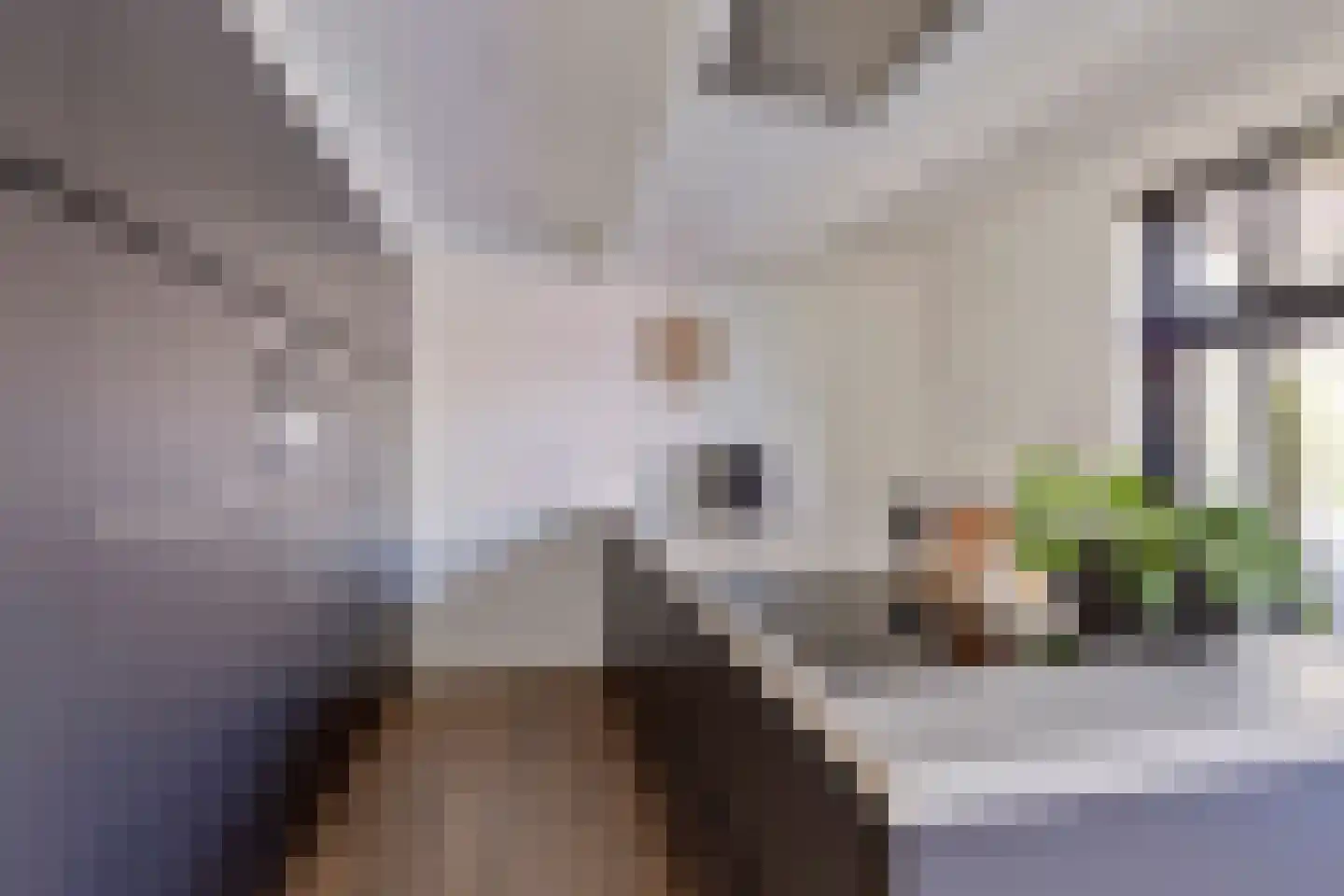 Boekweit 32 Boekel thumbnail 7