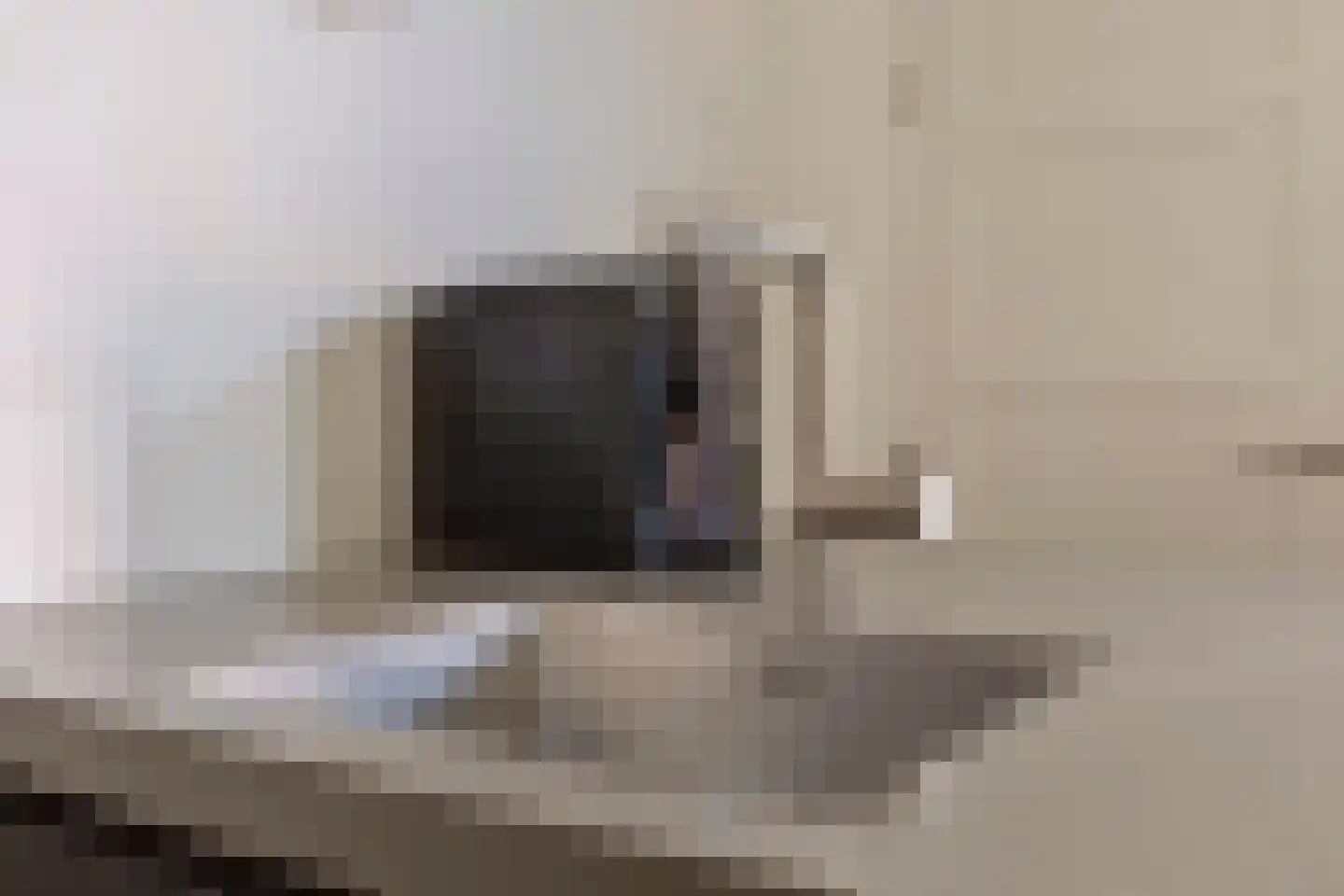 Boekweit 32 Boekel thumbnail 9