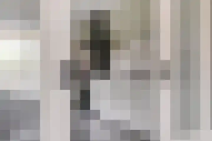 Boekweit 45 Boekel thumbnail 14