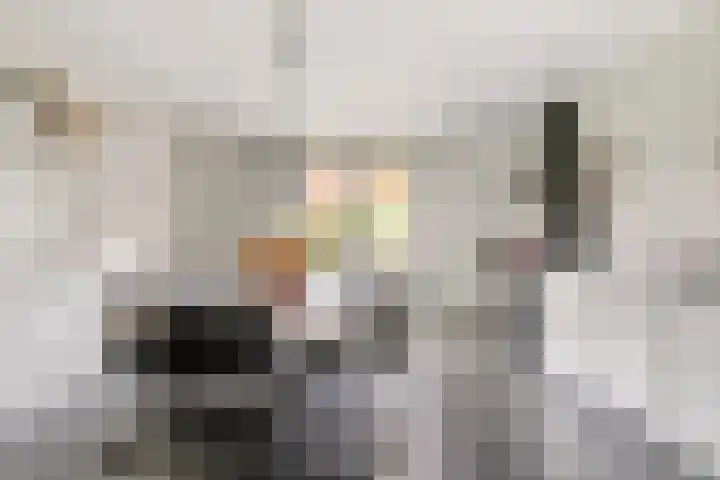 Boekweit 45 Boekel thumbnail 15