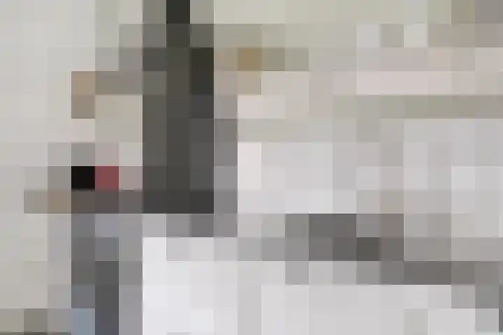 Boekweit 45 Boekel thumbnail 16