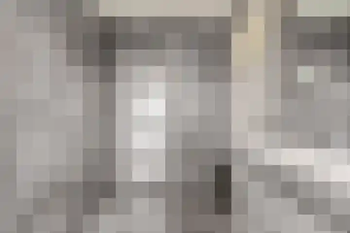 Boekweit 45 Boekel thumbnail 32