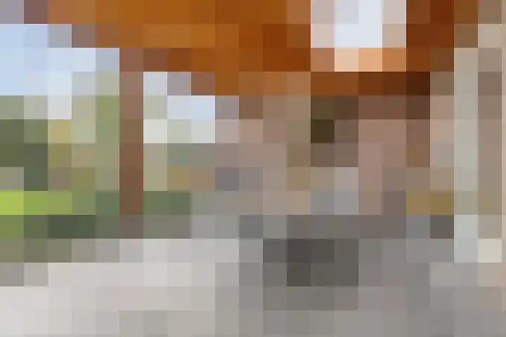 Boekweit 45 Boekel thumbnail 38