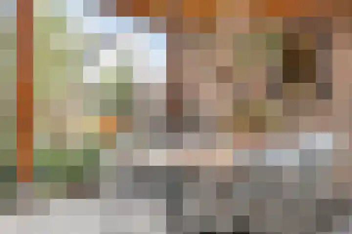 Boekweit 45 Boekel thumbnail 39