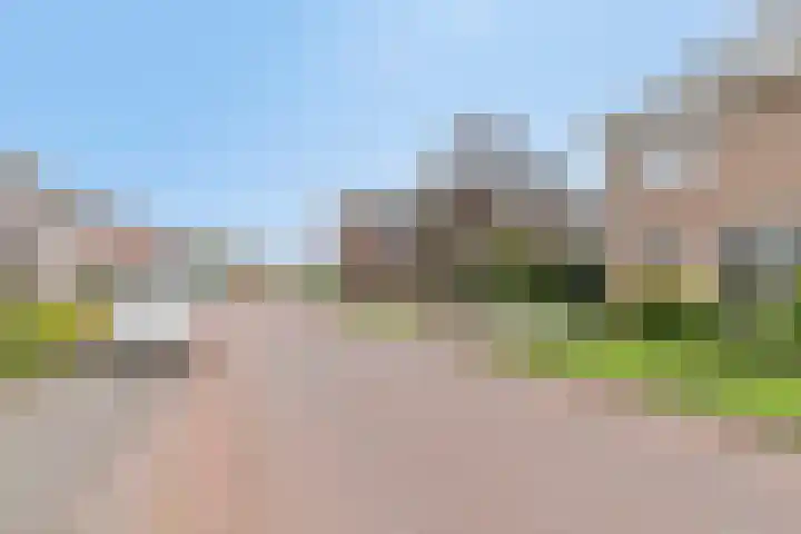 Boekweit 45 Boekel thumbnail 4