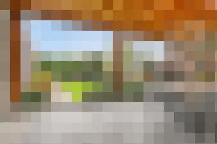 Boekweit 45 Boekel thumbnail 40