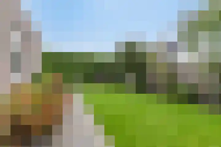 Boekweit 45 Boekel thumbnail 42