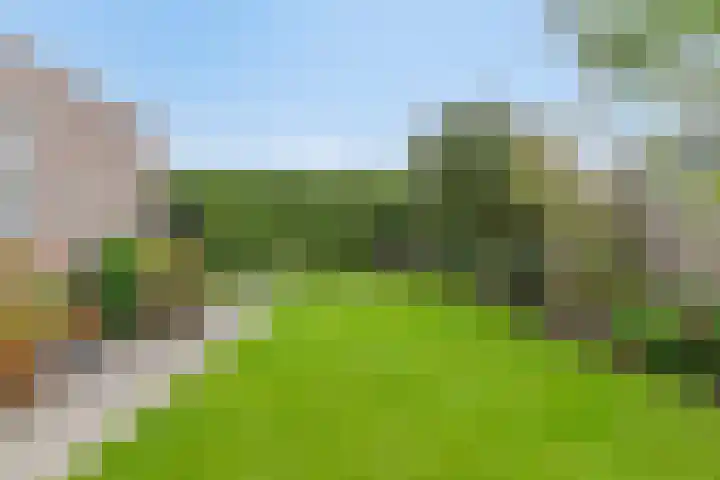Boekweit 45 Boekel thumbnail 43