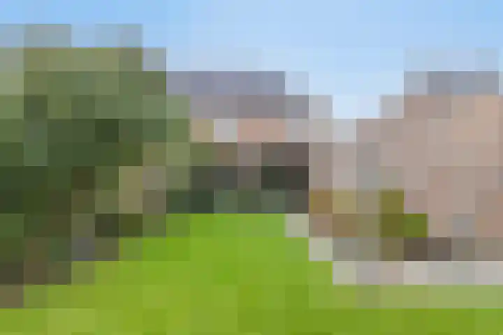 Boekweit 45 Boekel thumbnail 45