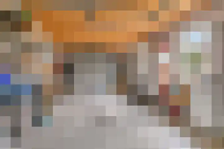 Boekweit 45 Boekel thumbnail 47