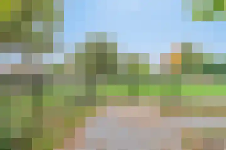 Boekweit 45 Boekel thumbnail 52