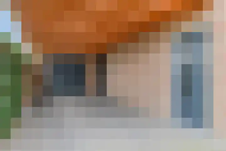 Boekweit 45 Boekel thumbnail 6