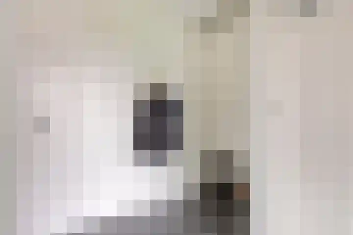 Boekweit 45 Boekel thumbnail 9