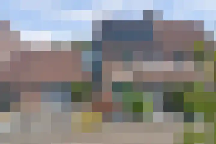Boekweit 53 en Eersel