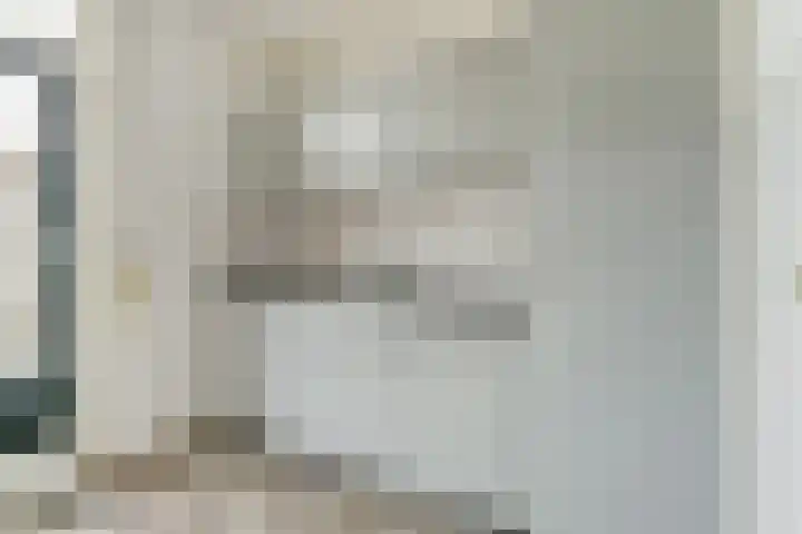 Boekweit 6 Haaren thumbnail 10