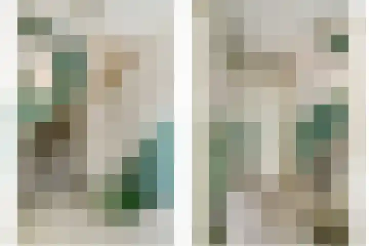 Boekweit 6 Haaren thumbnail 12