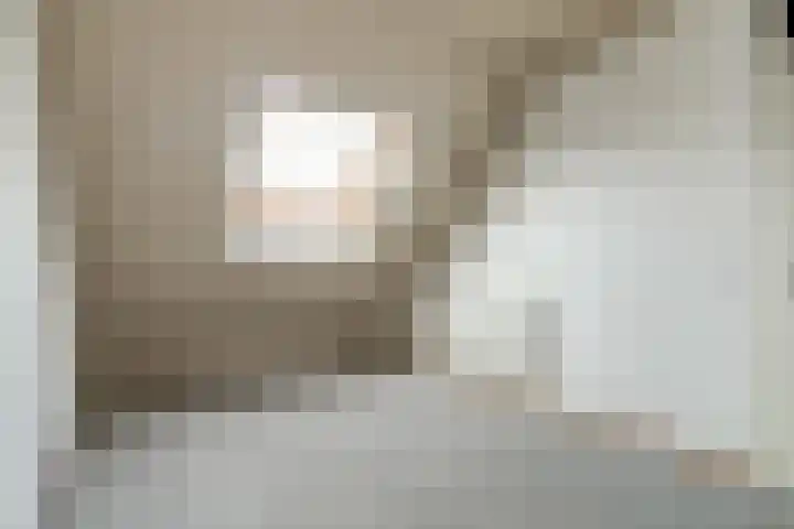 Boekweit 6 Haaren thumbnail 15