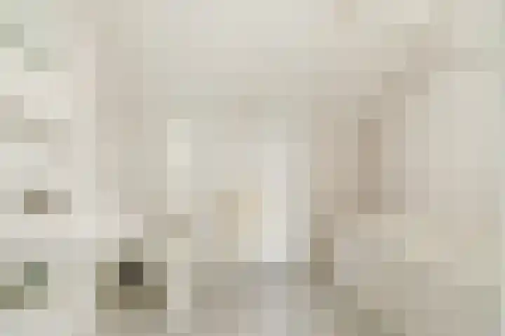 Boekweit 6 Haaren thumbnail 16