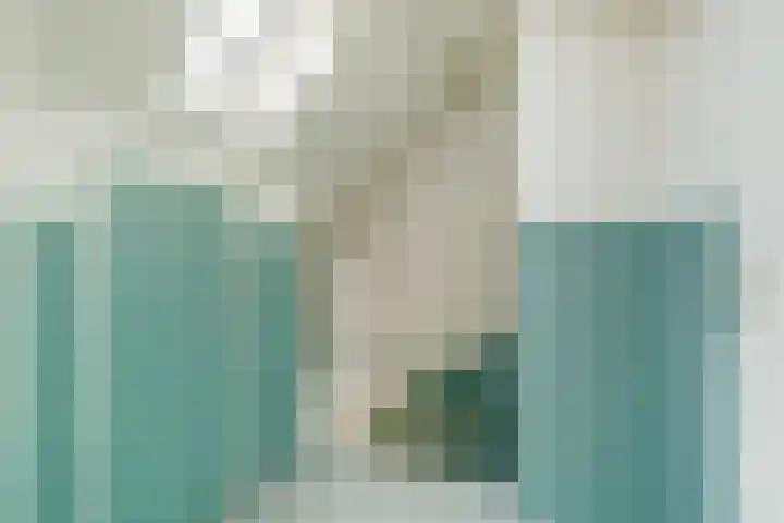 Boekweit 6 Haaren thumbnail 18