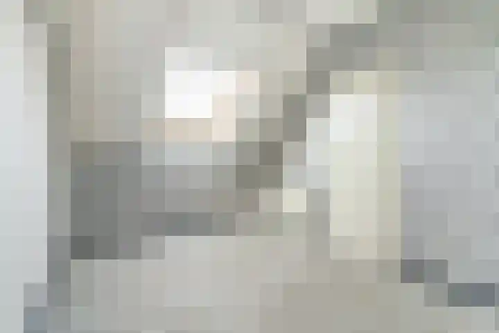 Boekweit 6 Haaren thumbnail 19