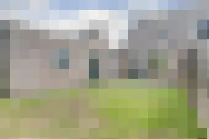 Boekweit 6 Haaren thumbnail 21