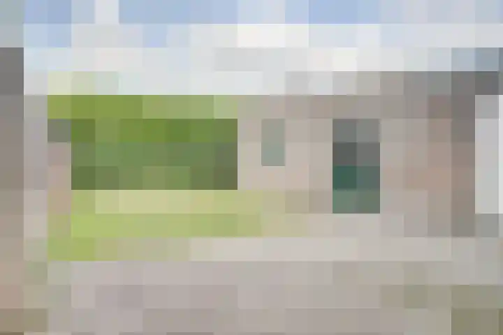 Boekweit 6 Haaren thumbnail 22
