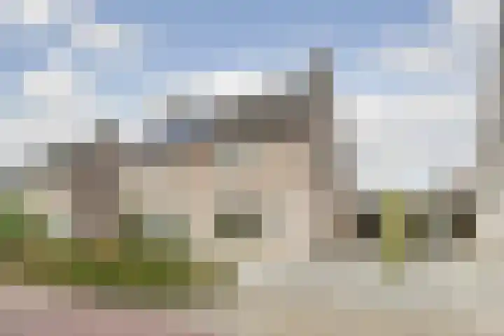 Boekweit 6 Haaren thumbnail 24