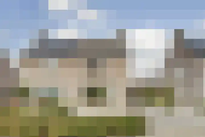 Boekweit 6 Haaren thumbnail 25